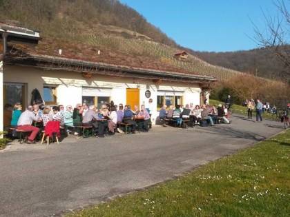 Foto: Franken Weingut Bauerschmitt